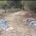 Pylli i Sodës në Vlorë po shndërrohet në landfill !