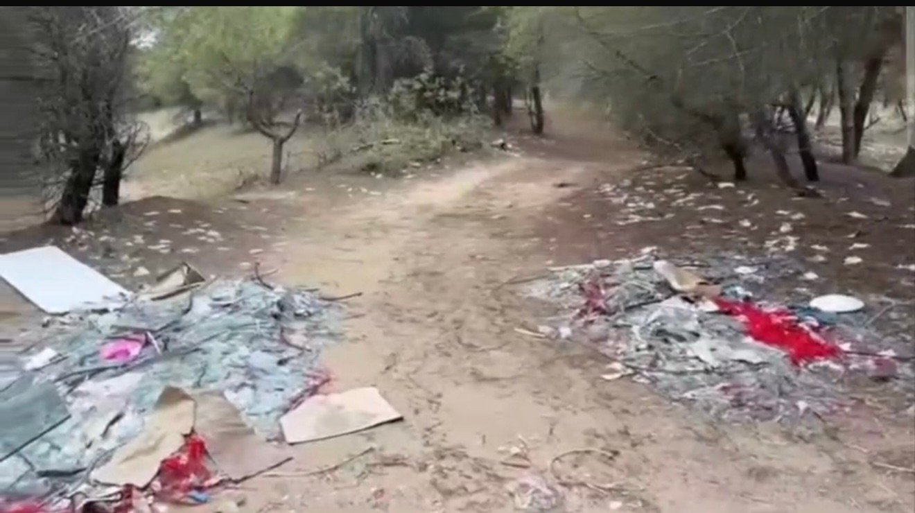 Pylli i Sodës në Vlorë po shndërrohet në landfill !