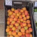 Sezon i mbarë për qershinë dhe kajsinë në Darsi, fermerët të kënaqur me prodhimin dhe çmimin!