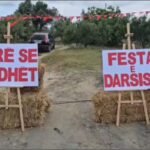 Pjesëmarrje e ulët në panairin “Festa e Darsisë” në Ballagat !