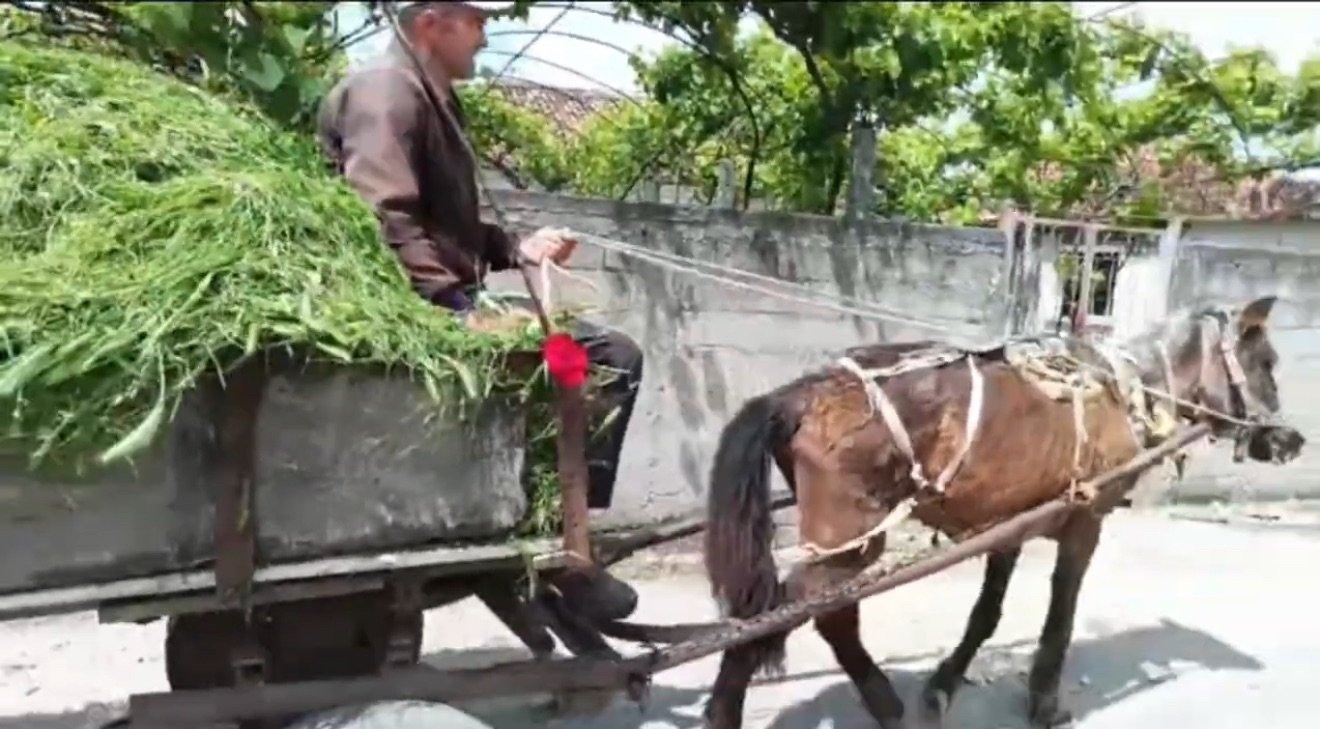 Fermerët e Qarrit, Martines dhe Bishanit, në zonën e Levanit në Fier, po përballen me një situatë tepër të vështirë ekonomike!