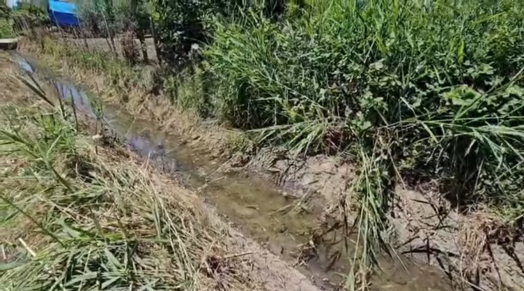 Vijon puna për pastrimin e kanaleve vaditëse për fermerët në Bashkinë Lushnjë !