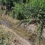 Vijon puna për pastrimin e kanaleve vaditëse për fermerët në Bashkinë Lushnjë !
