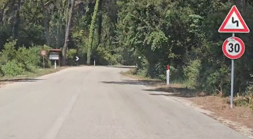 Mungesa e sinjalistikës rrezikon jetën e kafshëve në rrugën drejt plazhit të Divjakës.