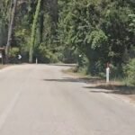 Mungesa e sinjalistikës rrezikon jetën e kafshëve në rrugën drejt plazhit të Divjakës.