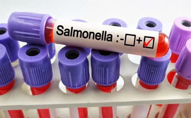 Alarm për salmonelë në Greqi, mbi 20 persona të infektuar