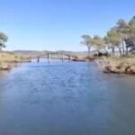 Parku Kombëtar Divjakë–Karavasta, një mrekulli natyrore që tërheq vizitorë në çdo stinë.