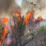 Regjistrohen dy vatra zjarri në Prrenjas, shmanget rreziku për banesat. Izolohen flakët