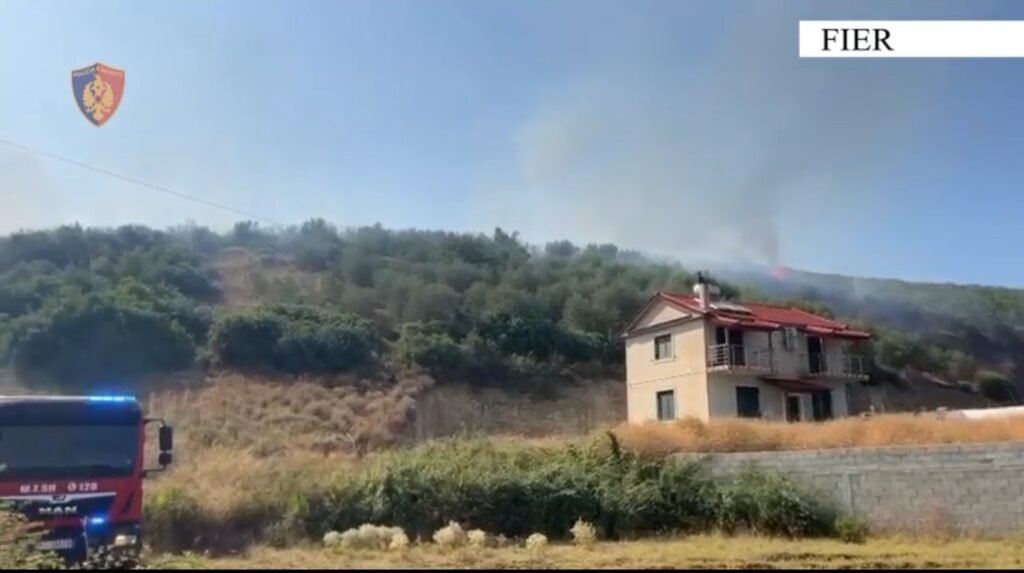 Ndezën zjarr në tokat e tyre bujqësore,identifikohen 2 autoret