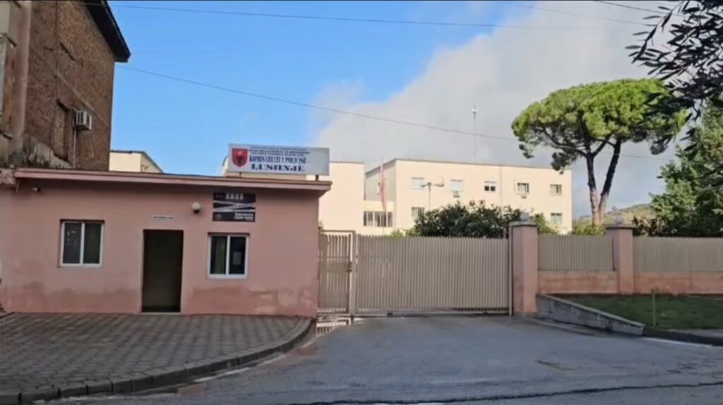 Plagoset me thikë 71-vjeçari në Lushnjë, arrestohet kushëriri i tij.
