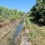 Vijon pastrimi i kanaleve vaditëse e kulluese në Bashkinë Lushnjë.