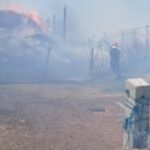Nje fermë blegtorale është përfshirë nga flakët mesditën e sotme në lagjen “29 Marsi” në Patos