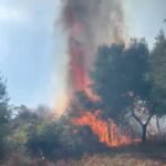 Zjarr në Mallakastër, ne afërsi të fshatit Cfir