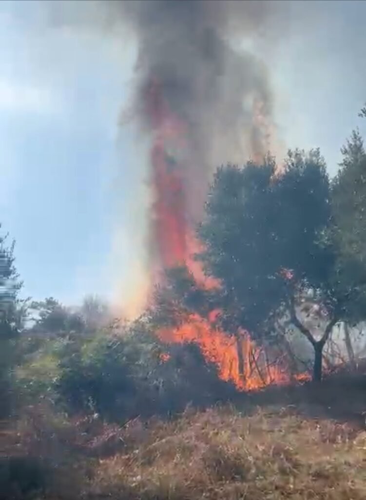 Zjarr në Mallakastër, ne afërsi të fshatit Cfir