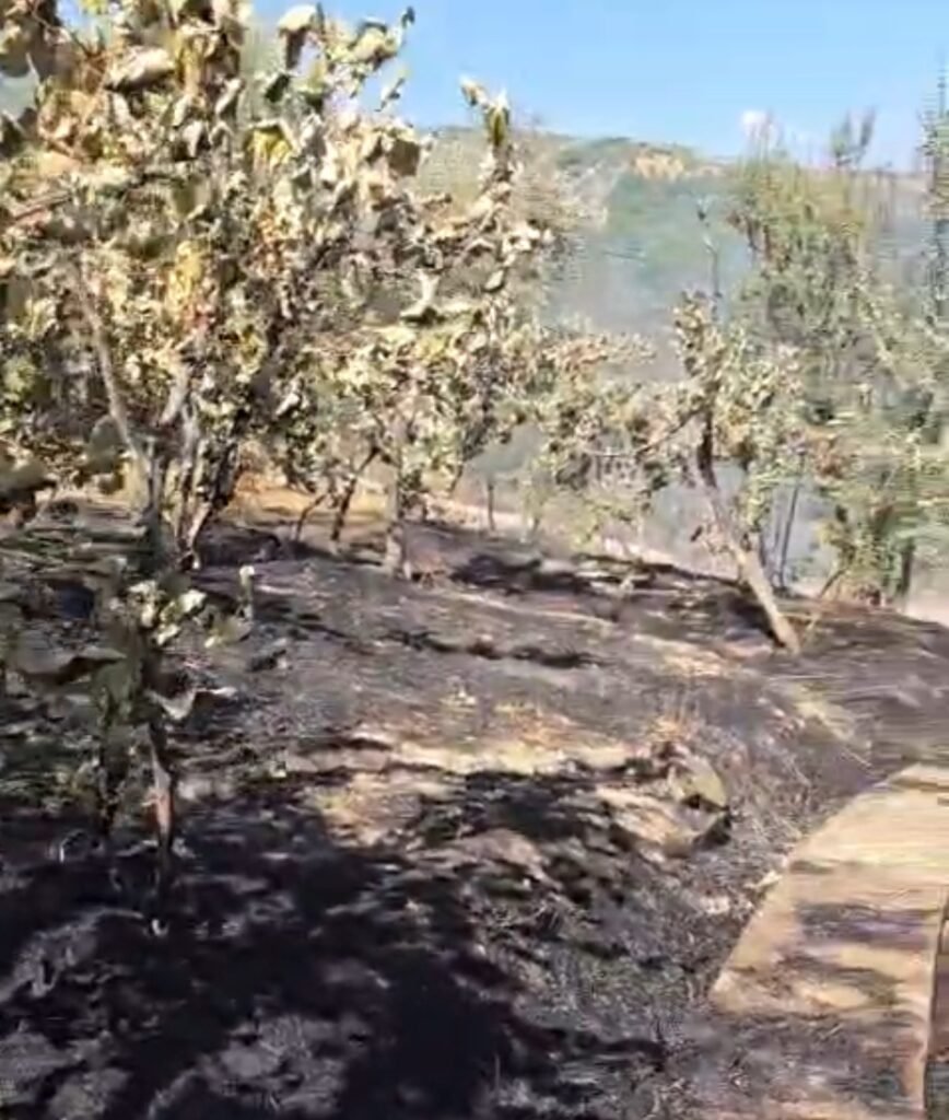 Nje zjarr në fshatin Greshicë të Mallakastrës rrezikoi të digjte disa shtëpi por ndërhyrja e zjarrfikësve bëri që të shuheshin flakët pa prekur banesat