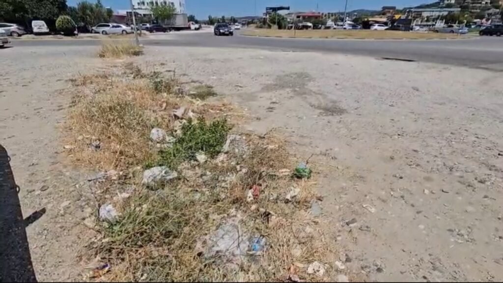 Rruga drejt Divjakës, e mbuluar nga mbeturinat – turizmi nis mes plehrave. Rruga drejt Divjakës, e mbuluar nga mbeturinat – turizmi nis mes plehrave.