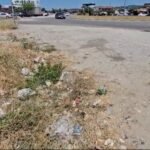 Rruga drejt Divjakës, e mbuluar nga mbeturinat – turizmi nis mes plehrave.