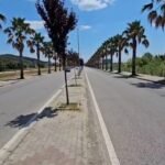 Kanali ujëpërcjellës i mbuluar nga kallamishtet, zbehet panorama në hyrje të qytetit të Lushnjës.