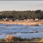Flamengot, bukuria e Lagunës së Karavastasë.