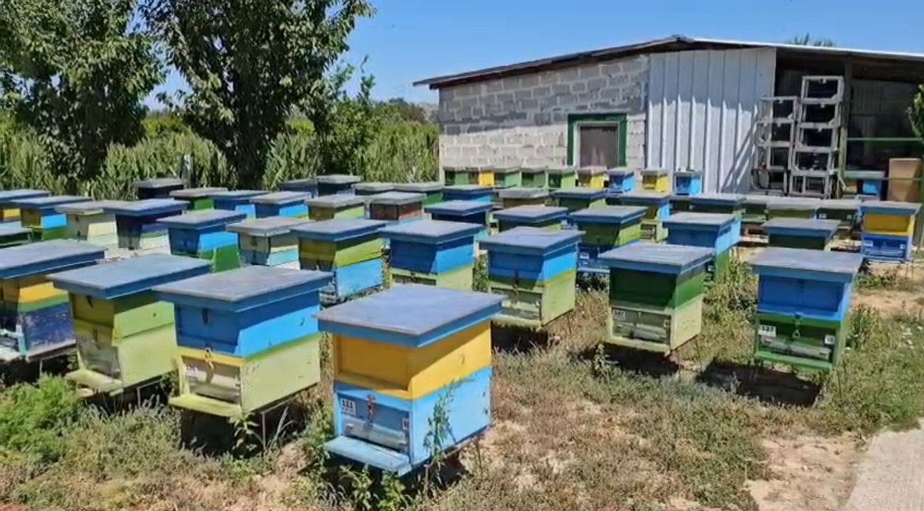 Zhdukja e bletëve rrezikon prodhimin e ushqimit.