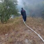 Vijon puna per izolilim e vatres se zjarrit ne Panahor.