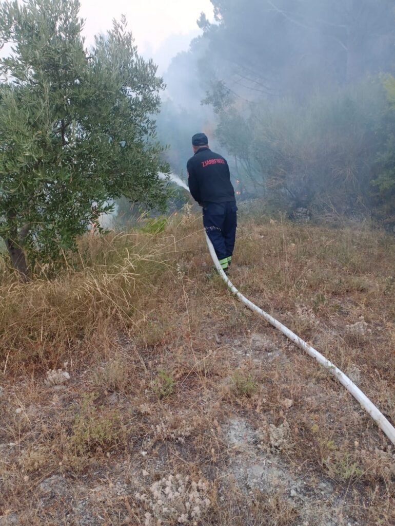 Vijon puna per izolilim e vatres se zjarrit ne Panahor.