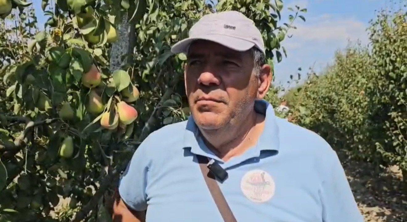 “Në Apollon me Çimin” – Fermeri Gjoni Liko: Bujqësia ka nevojë për më shumë mbështetje nga shteti.