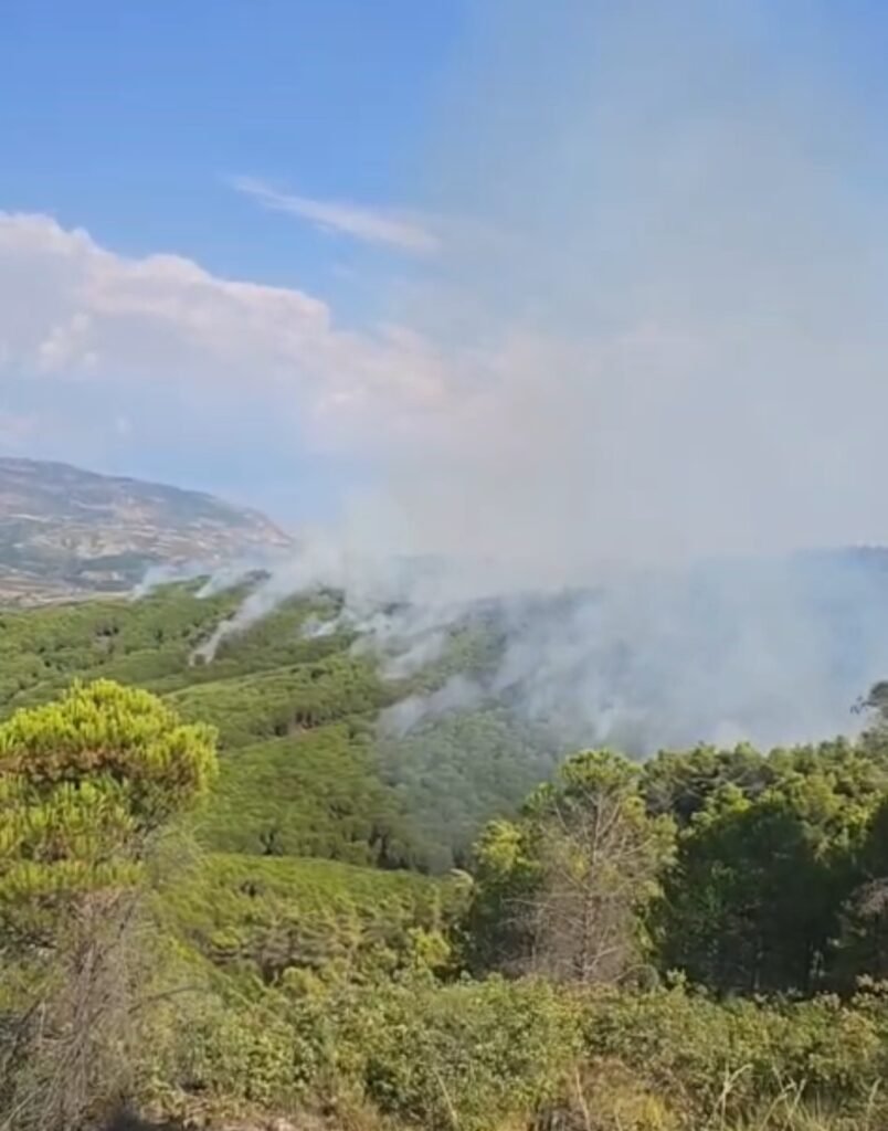 Flakët nuk ndalen në Mallakastër, zjarri avancon drejt Vloshit/ Helikopterët rifillojnë ndërhyrjen nga ajri