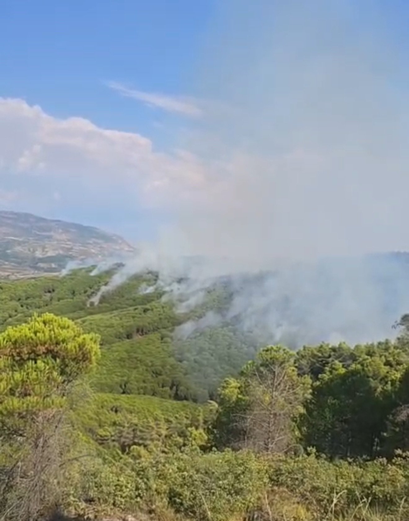 Flakët nuk ndalen në Mallakastër, zjarri avancon drejt Vloshit/ Helikopterët rifillojnë ndërhyrjen nga ajri