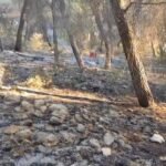 Aktualisht ka filluar puna per krehjen e perimetrit te jashten ne vatren e zjarrit ne fshatin Panahor