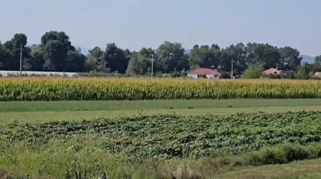 Murrizi e njerëz puntorë, ringrihet nga përmbytja.