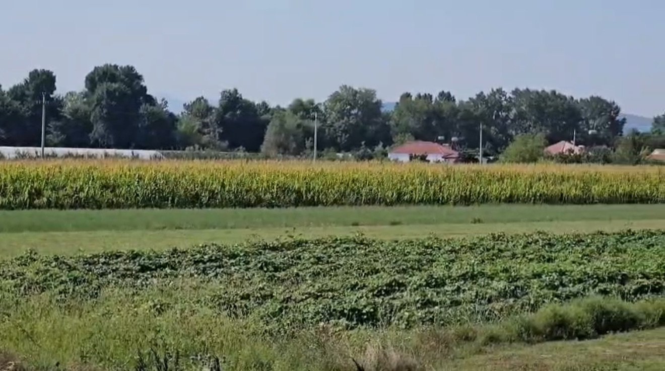 Murrizi e njerëz puntorë, ringrihet nga përmbytja.