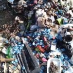 Prej gati një muaji, mbetjet urbane të pambledhura në fshatin Baltëz të bashkisë Fier janë kthyer në një problem serioz për banorët dhe mjedisin.