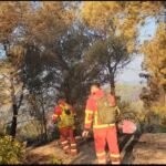 Ne vatren e zjarrit ne ekonomine pyjore Lofkend-Ngraçije, Bashkia Mallakster, ka filluar operacioni per izolim