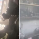 Nje&nbsp;zjarr ka përfshirë një apartament në zonën pranë stadiumit “Selman Stërmasi” në Tiranë