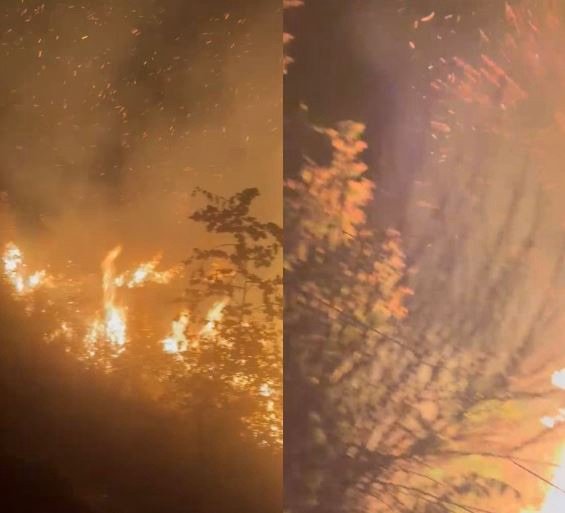 Flakët jashtë kontrollit ne Lurë, rrezikojnë banesa të banuara