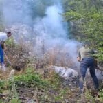 Një vatër zjarri e aktivizuar mesditën e së dielës në zonën e Lugut të Lakrave