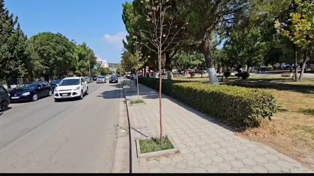 Vaditja e pemëve dhe gjelbërimit, prioritet në Lushnje gjatë temperaturave të larta.
