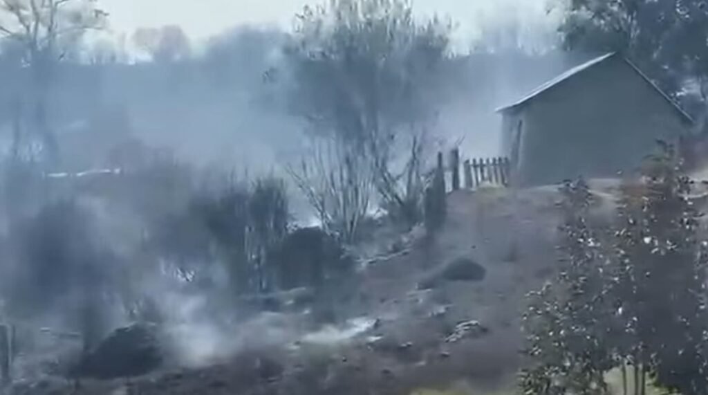 Agron Gjekmarkaj ka reaguar për situatën në Mirditë ndërsa thekson se janë djegur hektarë pyjesh Agron Gjekmarkaj ka reaguar për situatën në Mirditë ndërsa thekson se janë djegur hektarë pyjesh