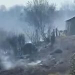 Agron Gjekmarkaj ka reaguar për situatën në Mirditë ndërsa thekson se janë djegur hektarë pyjesh