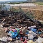 Zjarr në vendgrumbullimin e mbetjeve në Jeta e Re, rrezikohet plantacioni me ullinj.