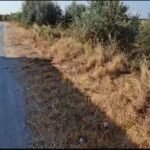 KARBUNARË E VOGËL – REAGIM I MENJËHERSHËM PAS SHQETËSIMIT TË BANORËVE PËR MBETURINAT