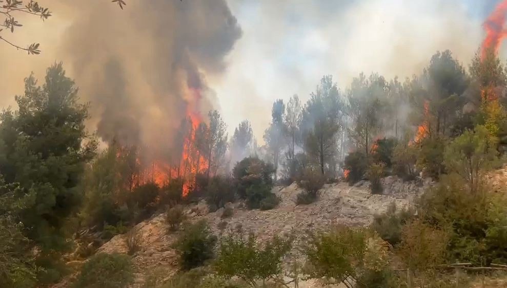Situata me zjarret në vend gjatë orëve të fundit/ 12 vatra të raportuara