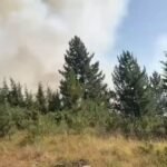 Zjarri në Vajkal del jashtë kontrollit, rrezikohen banesat, banorët në terren për të ndalur flakët