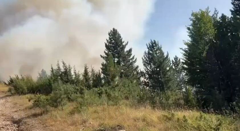 Zjarri në Vajkal del jashtë kontrollit, rrezikohen banesat, banorët në terren për të ndalur flakët