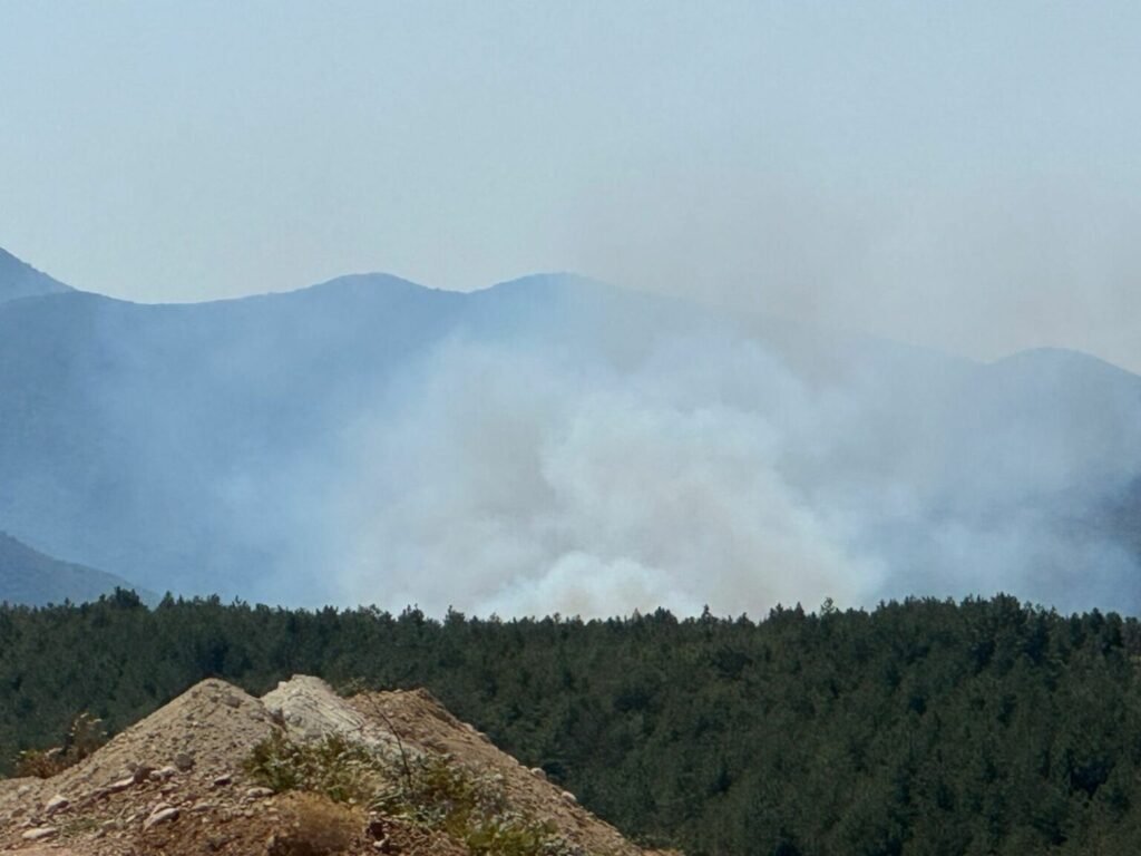 Një zjarr i përmasave të mëdha ka përfshirë zonën e Kalivacit në Lezhë, duke rrezikuar zonën e banuar.