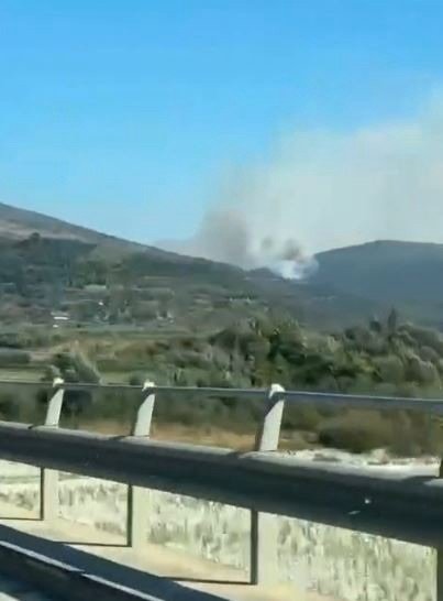 Zjarri përfshin kodrat e Peshkëpisë në Selenicë