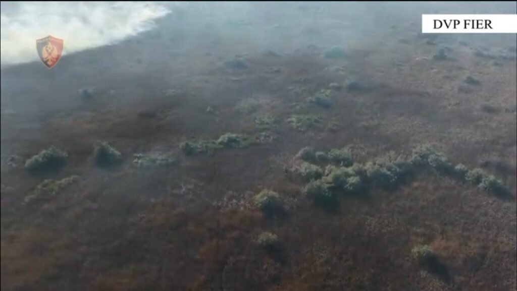 Fier/Ndezën zjarre në fshatrat Eskaj dhe Hasturkas, kapen dhe vihen në pranga dy shtetas, të dyshuar si autorë Fier/Ndezën zjarre në fshatrat Eskaj dhe Hasturkas, kapen dhe vihen në pranga dy shtetas, të dyshuar si autorë