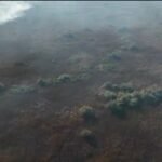 Fier/Ndezën zjarre në fshatrat Eskaj dhe Hasturkas, kapen dhe vihen në pranga dy shtetas, të dyshuar si autorë