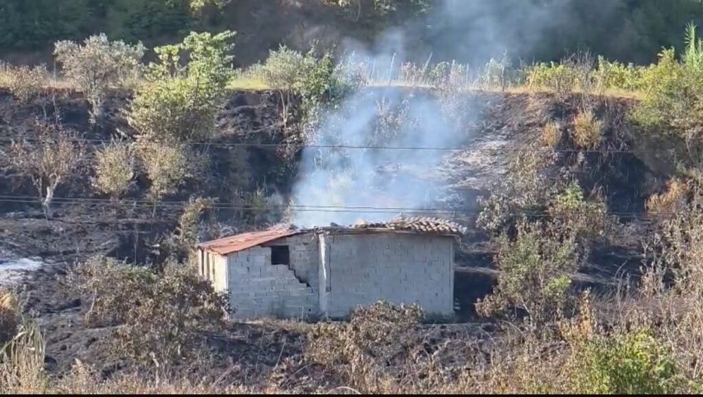 Nis verifkimi i dëmeve nga zjarret ne Fier. 14 banesa, mijëra rrënjë ullinj, vreshta dhe dru frutore të djegura